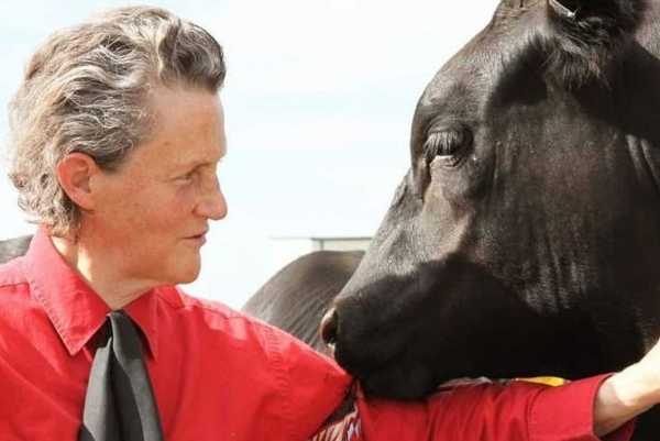 ¿Quién es Temple Grandin?, la mujer que “piensa como las vacas”